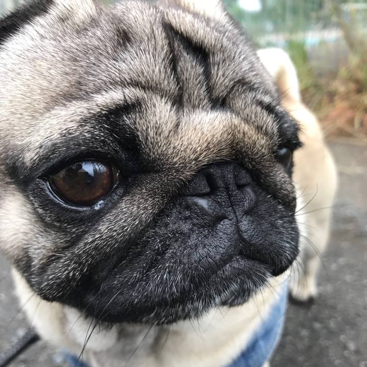 B597d823 b0cd 4c5e 9af1 439df25b59c6