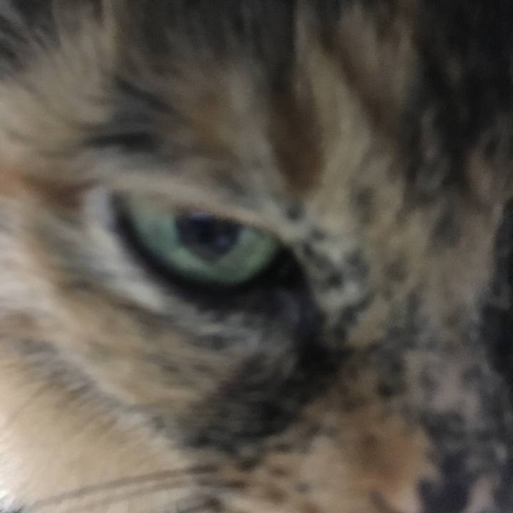 B597daf0 edcc 440c 8642 f48265d7a5b8