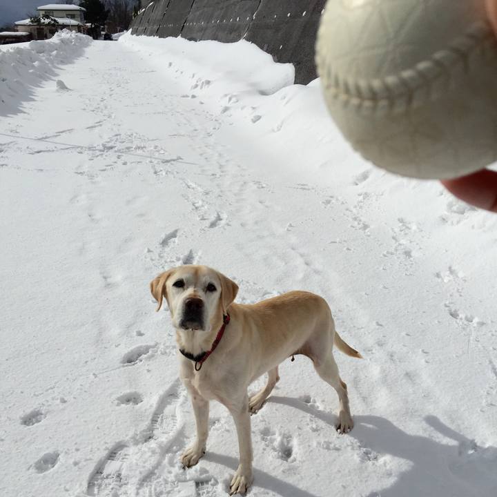 B597fdaa f087 41bf 8d4a ff5828a1676b