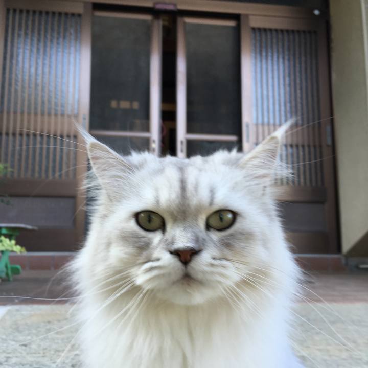 B59905a4 1068 42b4 ba90 fbc7378679cf