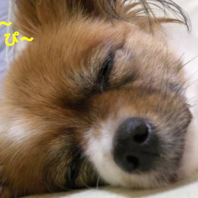 B5991b93 4b83 46be 8e9c cc2e66cb3c9d