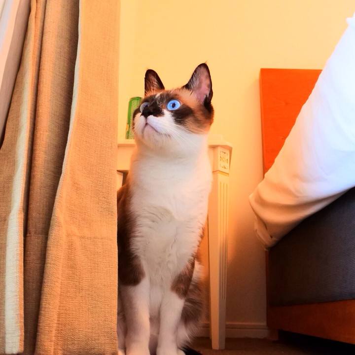 B5992b6b f0fa 479d b1b1 44a2ac8dd8d0