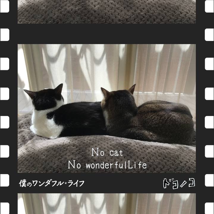 B5994a4d 59af 416d 83e9 927251a4490b