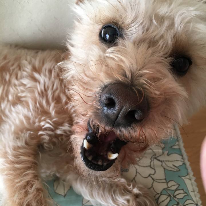 B599b83c af2f 4acd bec0 f6268dff0864