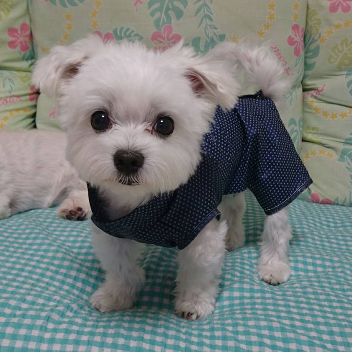 B59a3b48 7241 4048 8682 87ce56e034b8