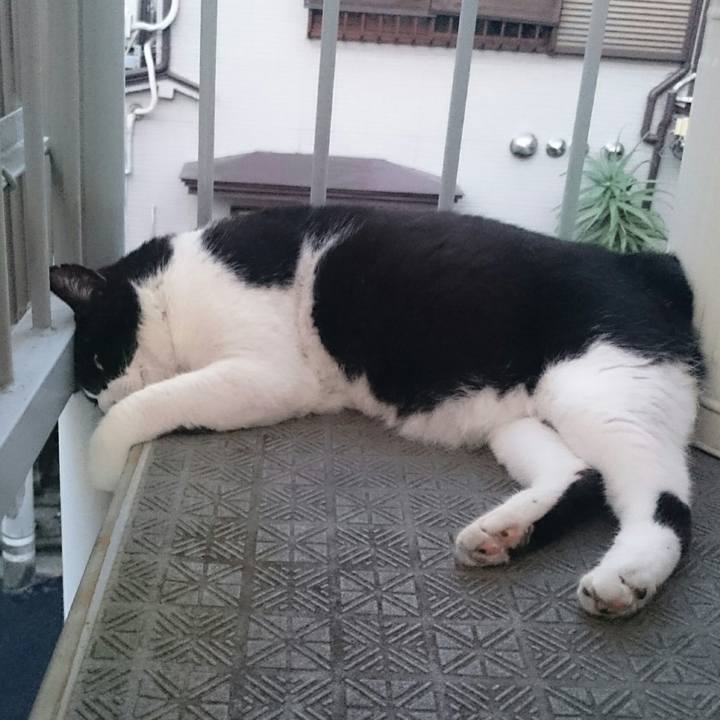 B59ac415 3557 4b4e 9bd5 bf72a1f24d73