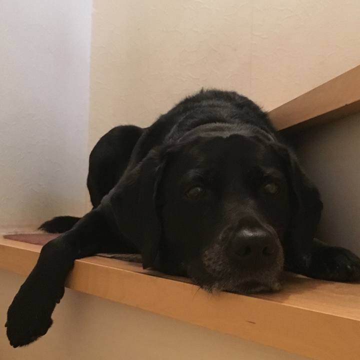 B59b2a95 8b3f 43bc bef2 29a4c37efc2d