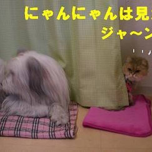 B59b2dfe 913b 4b6c a08b ea39f54d7996