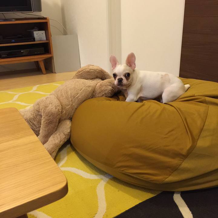 B59c09ee e9e5 40f6 bbf0 e01c4926b510