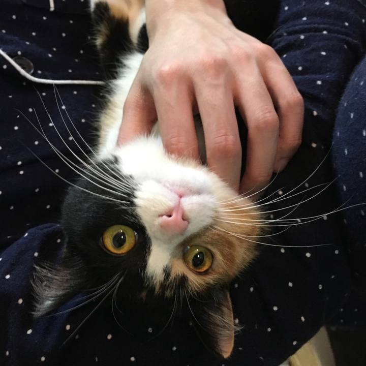 B59ca761 9dc1 4833 ae1f 2bfc9c6e8be3