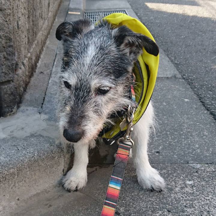 B59e4118 58f2 4b94 8d9c 7defd5731cd9