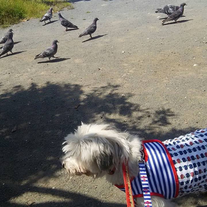 B59e7600 af5c 47e9 86d7 e9587fd5dbd1