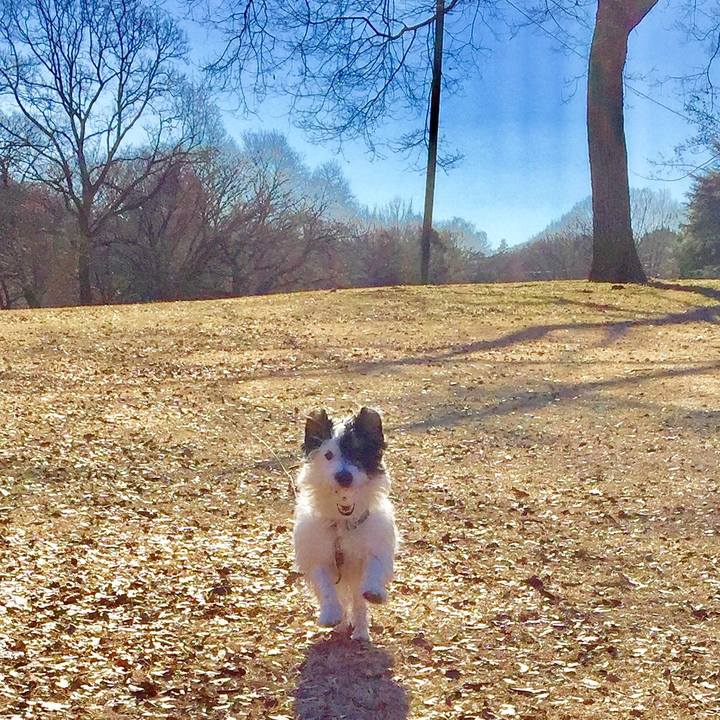 B59e7d14 c0ec 4387 80f9 5212fcb9c2b2