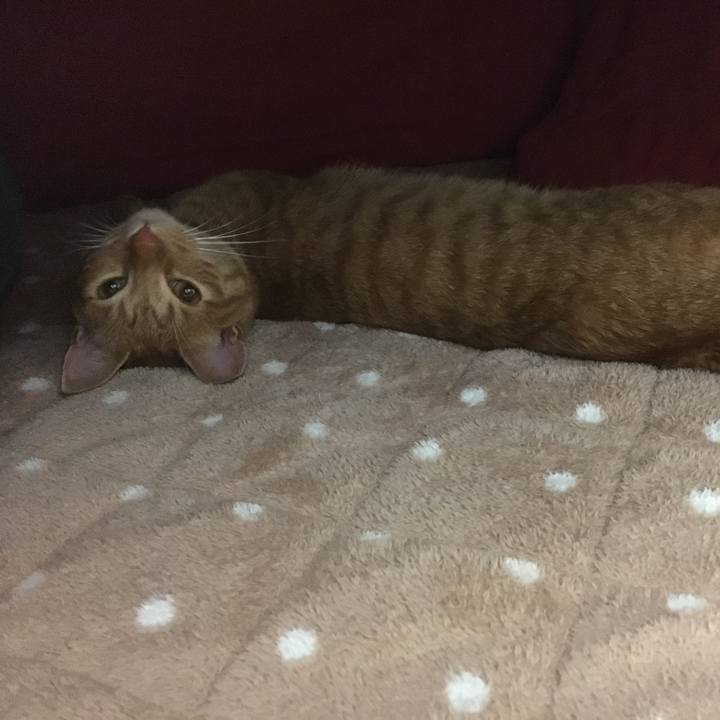 B59f49bb 436d 4829 b553 0b0a4fb039a2