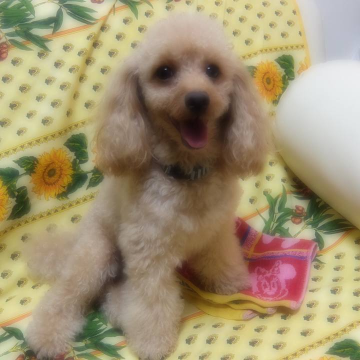 B59fd99a 1215 4ebf aa7c 62c6a8621144