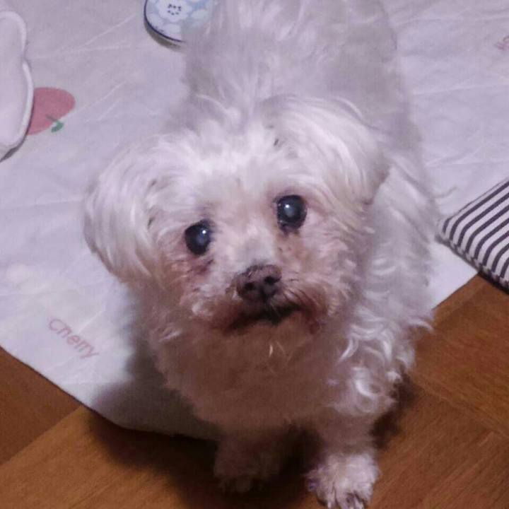 B5a03785 0213 44ec 831a fab6d36ea1e7