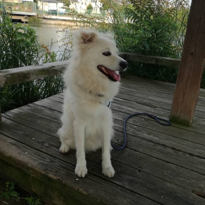 B5a0c337 158a 48e2 9501 8c2e0b92f6d5