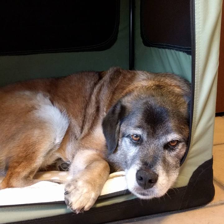 B5a0c33c c7ac 43c1 a7ca 19bc84cd3872