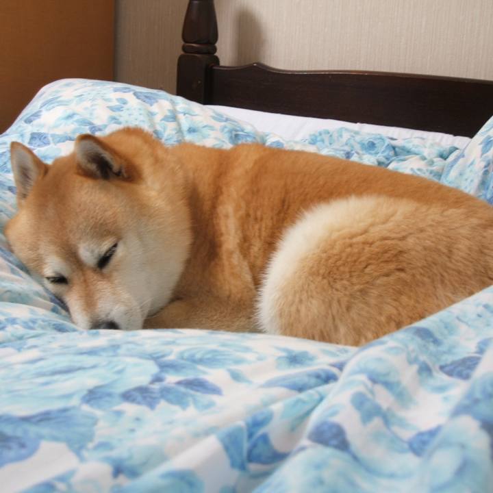 B5a0e82d 23d8 413e 98a0 abdc5bea440a