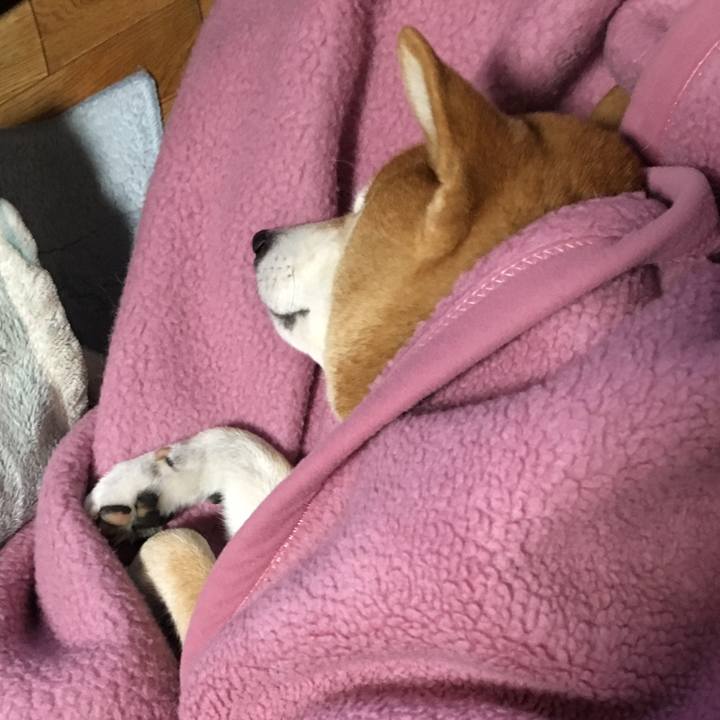 B5a13026 5f57 4a63 b82c 5776fe33cf8c