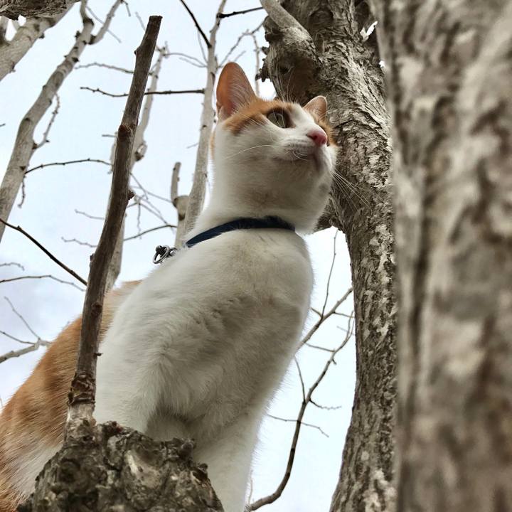 B5a1328c 7df6 4a10 88b2 b4cf049297f8