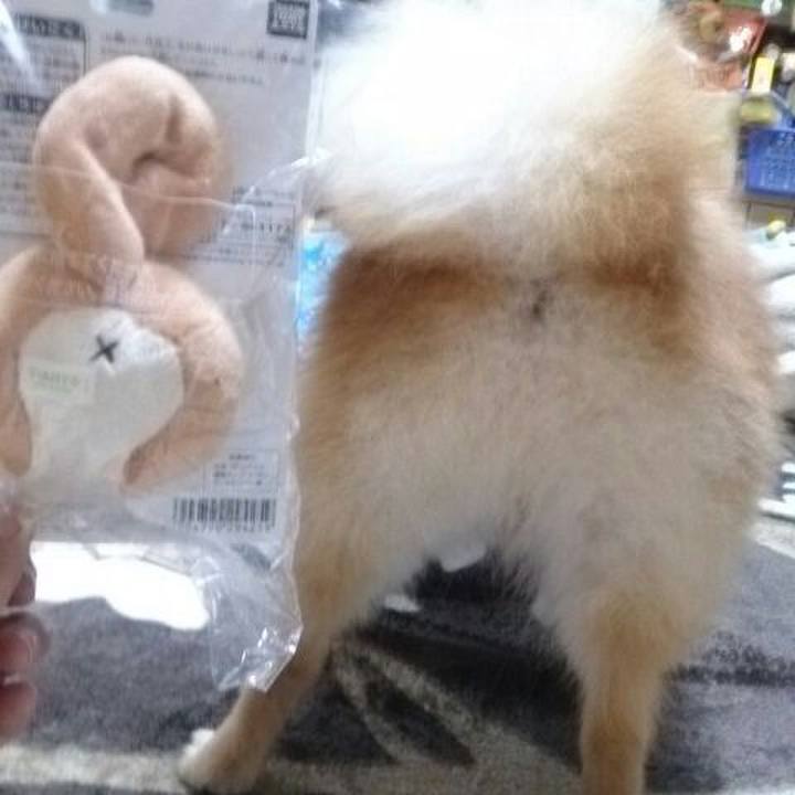 B5a1d9a0 5a28 4a39 9387 669f5a83c482