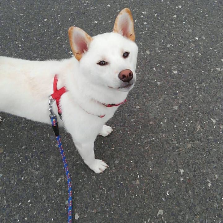 B5a23ae3 dab3 4f9e a048 6343c3b4fd81