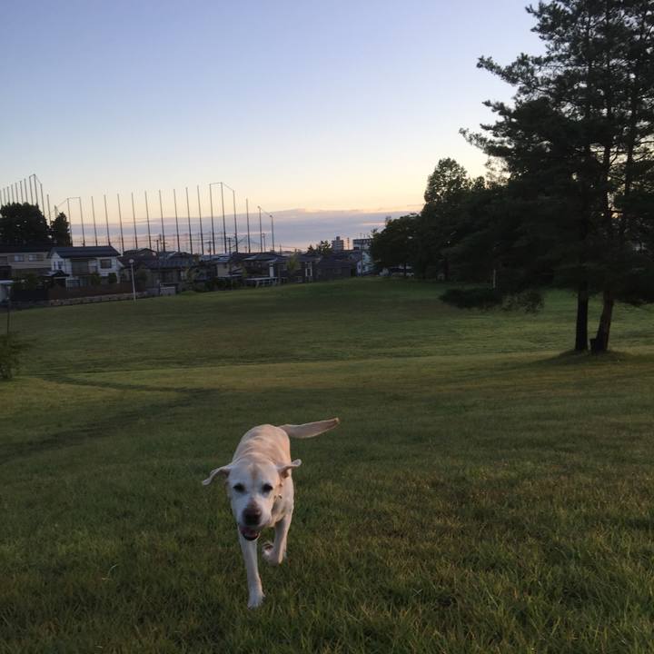 B5a37035 1c96 4435 ac20 7425c1e38676