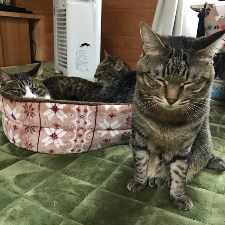 B5a3ea75 ae18 42a2 bad9 4eb742eb65dc