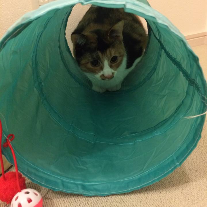 B5a4166e 681b 4f77 97e0 3054e0c1bf58