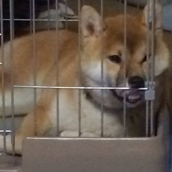 B5a48dab a042 4cd5 8463 5d18637c1217