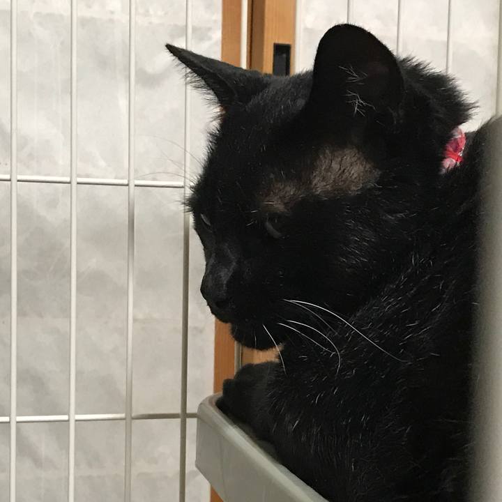 B5a505c2 b7f7 47af 84dc 33db401e900e