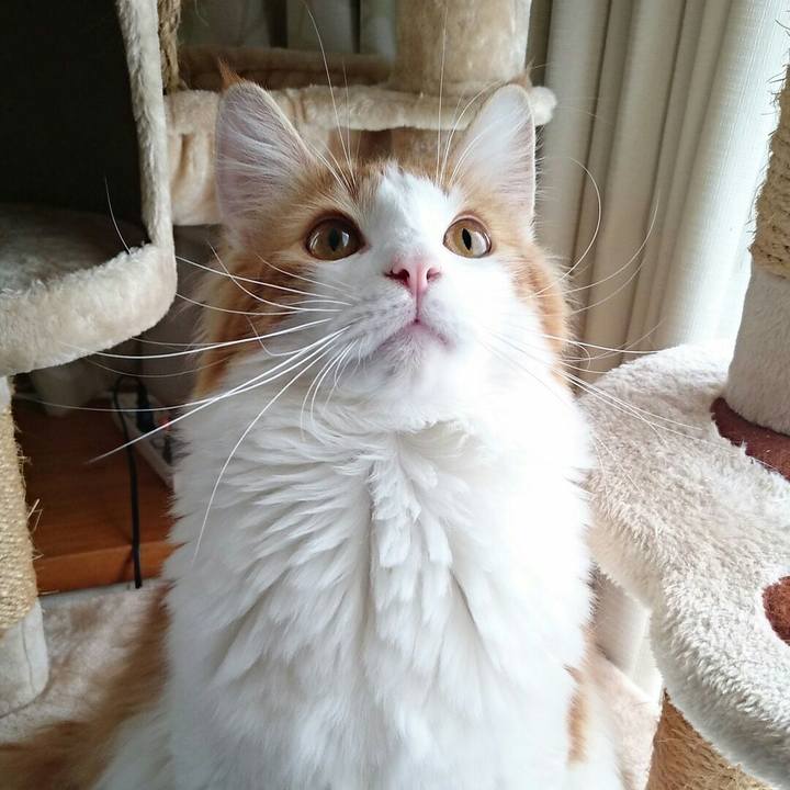 B5a5aade cb2b 4d26 bfd5 e7777a6b38e5