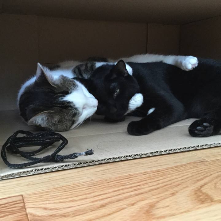 B5a64150 6f56 4fc9 96f3 1e398bcc214f