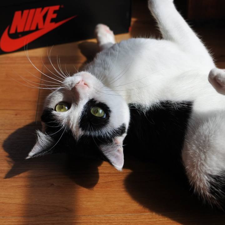 B5a6886b 232f 4b79 8240 047b5eeeba45