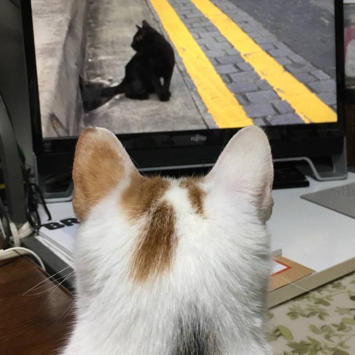 B5a697d6 d4e2 408f 9f6d df5e9ce11d03