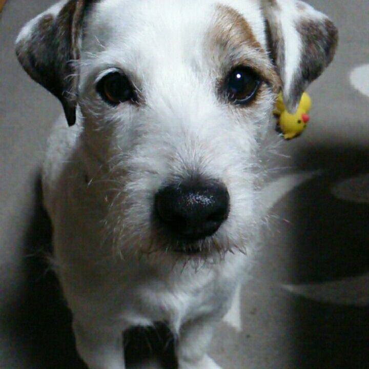 B5a703c0 9486 4a5a b8f7 a7087b203ed4