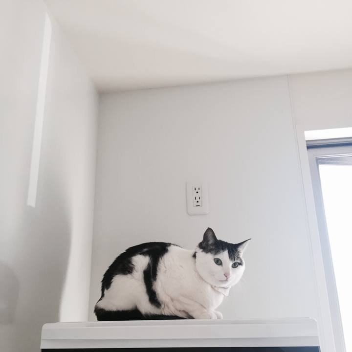 B5a7b8c8 4a03 4b48 b05d c8770ac02d78