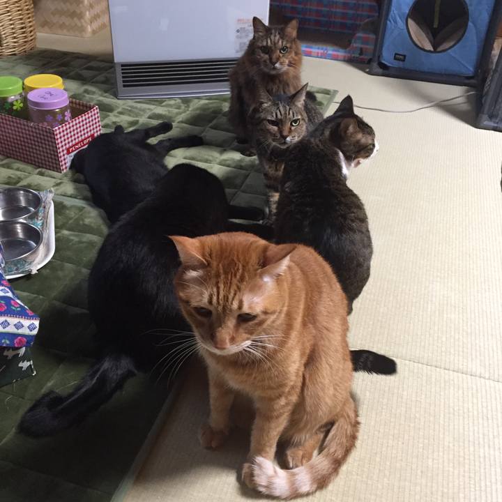 B5a8bc73 af0e 4347 82cf b1ad65da6820