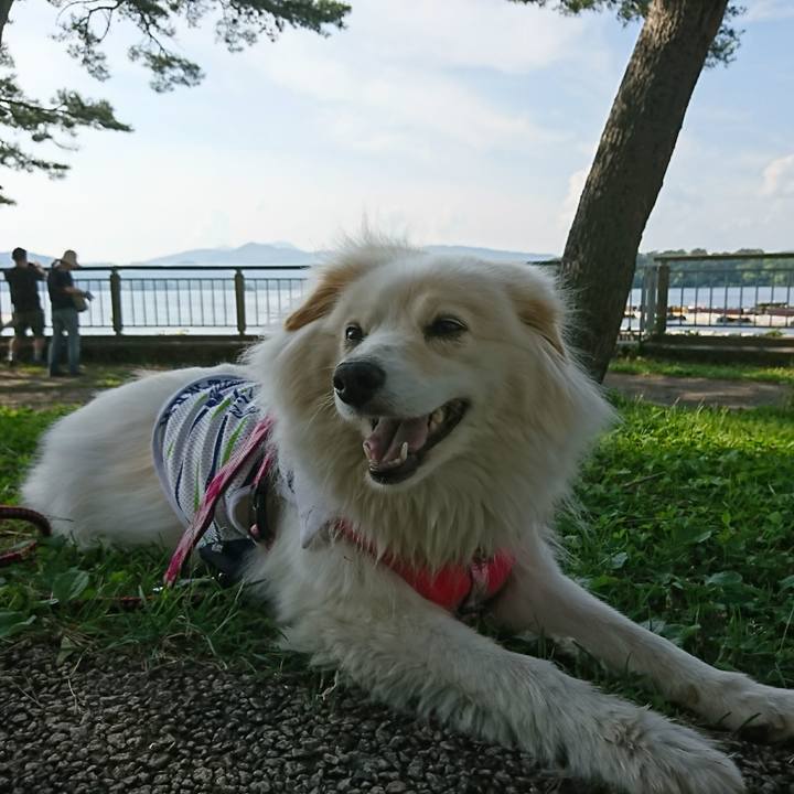 B5a8f704 ba9e 4f35 b828 7fa24f0800c5