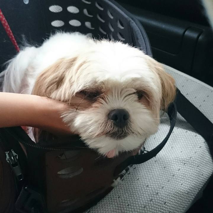 B5a9446b c66d 4fee b07e 655b692e2909