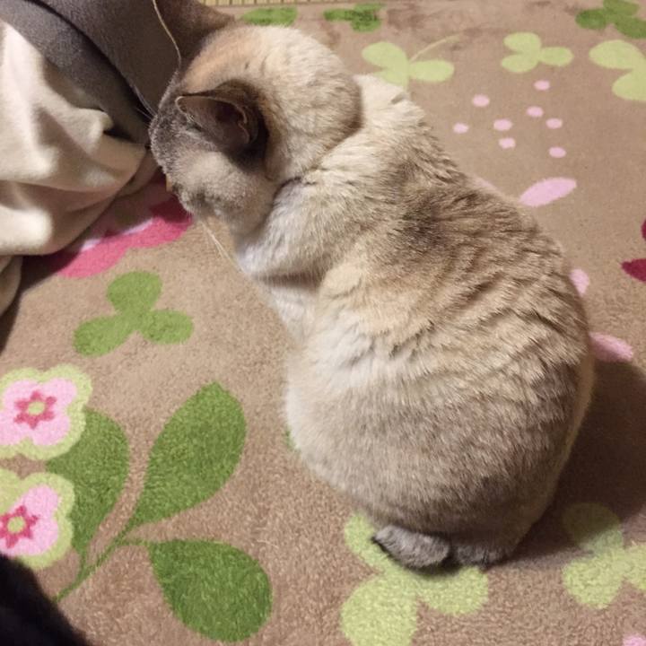 B5aa1df6 35ee 4f04 a69d 87ed43ac2713