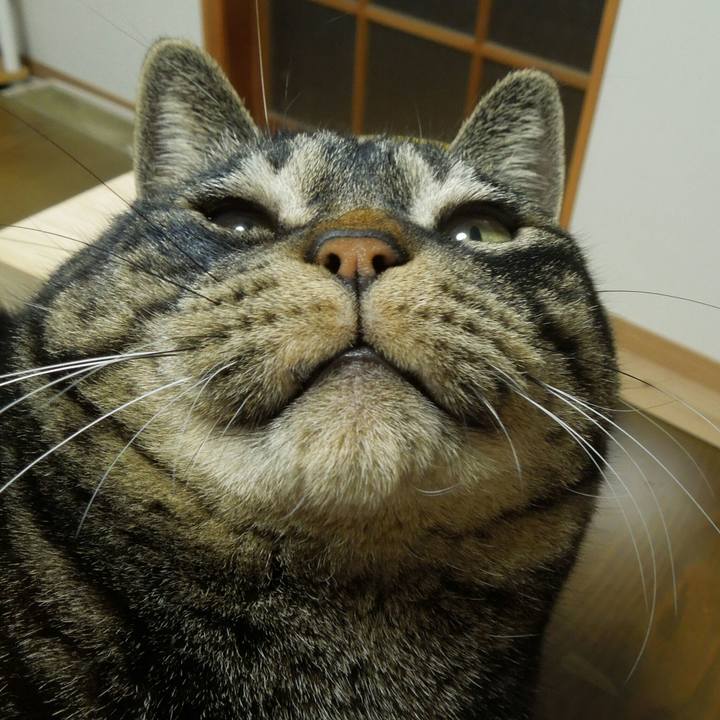 B5aa5f49 350e 4139 8377 252019079462