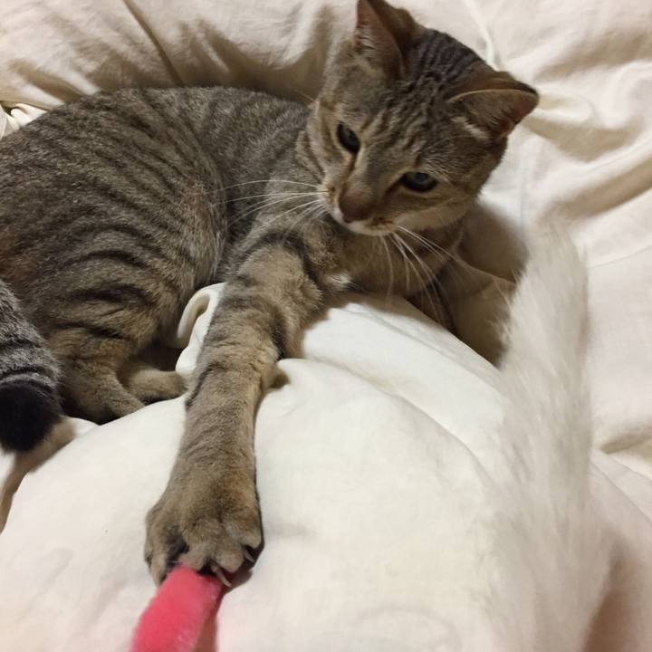 B5aae82f 61b9 4914 a11c 90df2e7e56e9