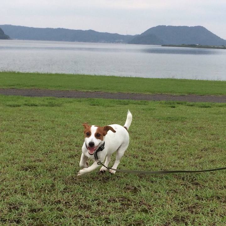 B5abbac4 ef0a 4134 9973 7c8a47d06df9