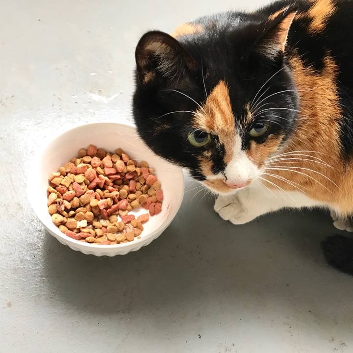 B5abbcec 5dca 4413 9ba6 c5a576c0584d