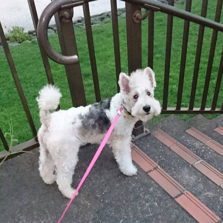 B5ac745b 9640 4d68 817e 7bae3ce25936