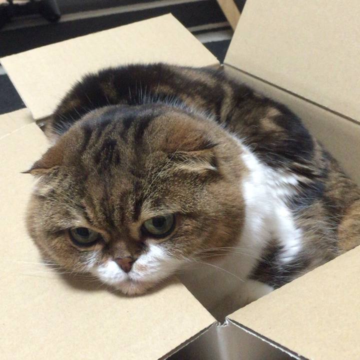 B5ac981f dc42 4a0e bb81 2a02c4133e13