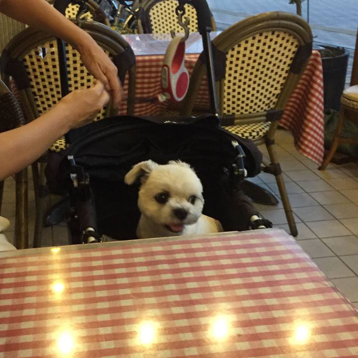 B5acaef3 e233 4e7f badf 4ddbb402e43e