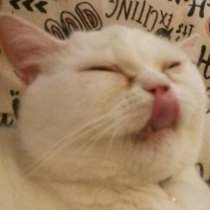 B5acc101 3d0e 4c07 9dd7 e0d8facf0603